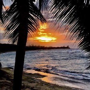 Meet your Posher, Greg